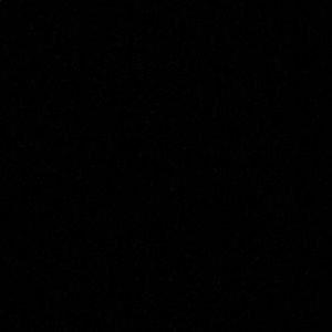 Meet your Posher, Rosaline